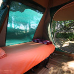 Fully Serviced Tent Inside